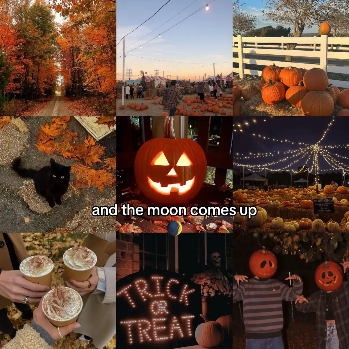 #spooky #spookyseason #spookyszn #pumpkin #pumpkinseason #pumpkinspice #orange #fall #autumn #halloween #coffee #latte #halloweenmakeup #water #sun #travel #sunset #traveltiktok #outerbanks #fyp #beach #vibe #aesthetic #pinterest #nature #ocean #sunlight #sunrise #peaceful #goldenhour #sea #shells #dream #dreamlife #traveltheworld #Summer #sky #summernights #breeze #flowers #blowthisup #pool #plane #holiday #sand #vacation #blue #plants #earth #foryoupage #moon #mountains #adventures #beautifuldestinations 