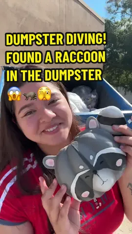 Went Dumpster Diving Today and found the cutest raccoon in the dumpster😱😱😱 #dumpsterdive #dumpsterdiving #dumpsterdiver #homegoods #homegoodsfinds #raccoonsoftiktok #meldidumpsterdive #fyp 