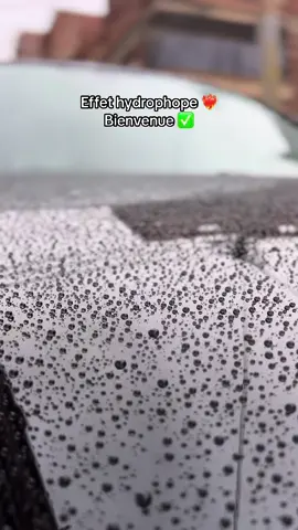 توفر لكم ورشة  YR detailing Batna خدمة  ازالة الخدوش وزيادة لمعان السيارة ووضع طبقات حماية 💎 ✅.Pack de brillance :زيادة لمعان السيارة ✨ ✅.Correction du vernis:ازالة كل الخدوش الموجودة 💯🇫🇷🇧🇪 ✅.pose des céramiques : وضع طبقات الحماية 💎🇧🇪 ✅.Éliminer toutes sortes d'impuretés: إزالة جميع الشوائب الموجودة علي سطح السيارة (voile)  ✅. Rénovation des optiques :اعادة احياء الأضواء الامامية والخلفية ✅. Nettoyage approfondie (lifting)🧼🧽 ___لمزيد من المعلومات أو الإستفسار اتصلوا بنا على الأرقام التالية:  ☎️0673809683 ☎️0541590633 📍موقع الورشة : حي تامشيط طريق اللور بعد محطة الوقود المؤدية الى المستشفى بجانب تصليح الرادياتور  مرحبا بكم 😍❤️ رضاكم غايتنا 💪#batna #batna05_chawiya🇩🇿💪 #detailing #detalles #wax #algeria #algerie🇩🇿 #dz #algerie #noir #luxury #kabyle #correction #bejaia #تلميع_سيارات #تلميع_خارجي_داخلي_نانو_سيراميك 