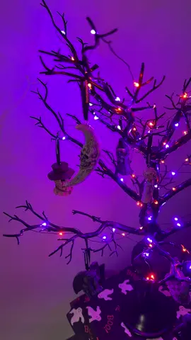 I’m OBSESSED with my new tree & Horrornaments from @Horrornaments.com 👻🎃 Now I cant wait to add more to my collection! 🧡🖤 #horrornaments #spookyseason #halloween2024 #halloweendecor #halloweenshopping #fyp 