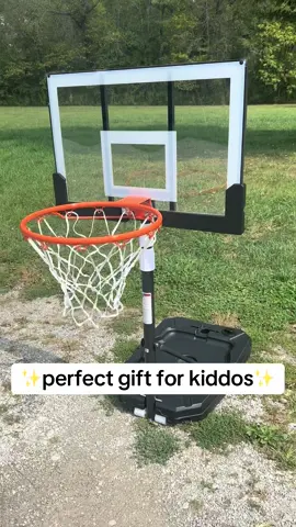 #kids #kidsoftiktok #christmasgift #bdaygift #gift #present #basketball #basketballhoop #playball #hoop #outsideactivities 
