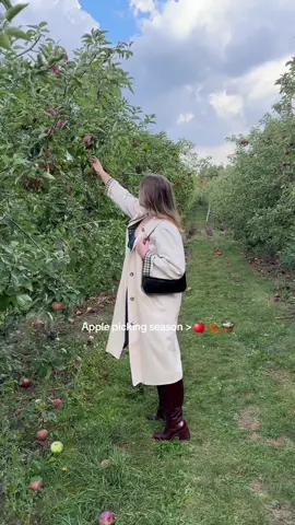 Trip to the apple orchard 🍎🍂🧺  #applepicking #appleorchard #fallactivities #autumnvibes #autumnaesthetic #sezane #dolcevita @Sézane @gap @STAUD Clothing @Dolce Vita Footwear 