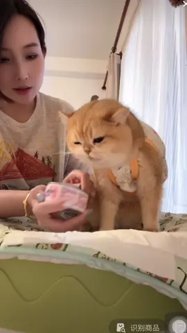 Nhân viên mới nè #meow #fyp 