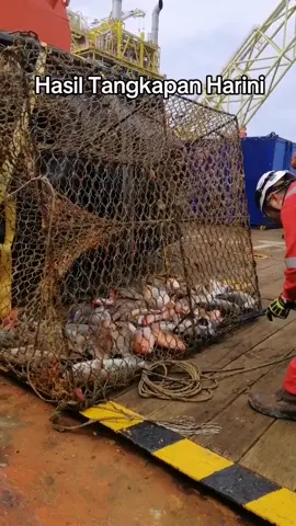 Saya hanya seorang #nelayan . #FYP  #Seaman #Pelaut #ROV #OilAndGas #Offshore #Subsea #Diver #Work #Ikan #Menyelam #Laut #Underwater #Fish #Fisherman #abuyaskibidi 