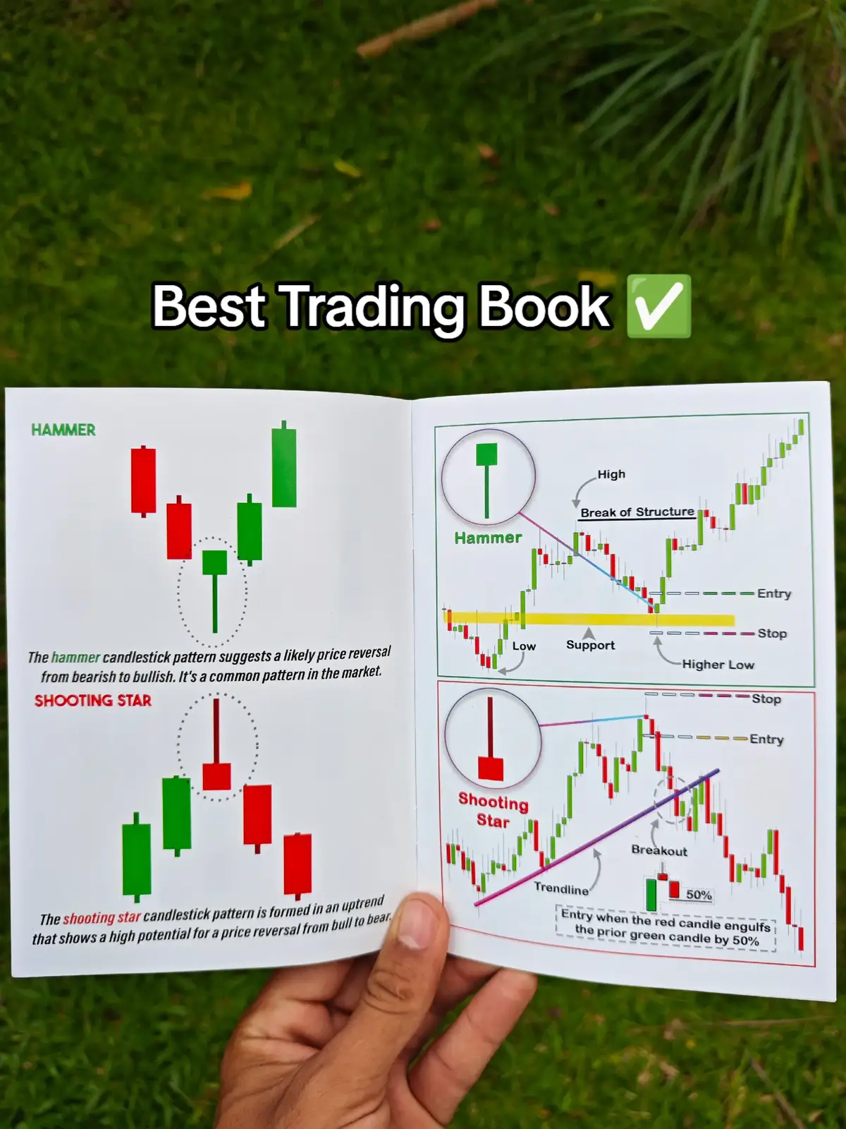 The best trading book in the world of tiktok has come that allows you to master the technical analysis on forex, crypto & stocks packed with basic and advanced chart + candlestick patterns for trading 📚📈 #fyp #tradingbook #trading #book #BookTok #technicalanalysis #forex #stocks #crypto #trader 