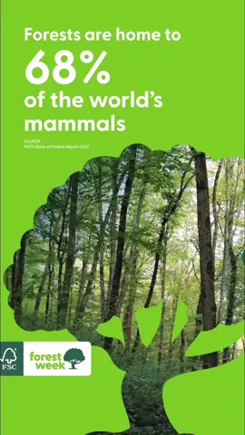 In 30 years, we've made significant strides for our planet. This #FSCForestWeek, we reflect on amplifying our impact. FSC-certified forests host diverse life forms vital for ecological balance. Join us in creating a sustainable future – link in bio 🌿🌍 FSC® F000100