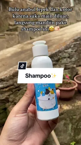 Mandiin anabul seminggu sekalii secara rutin🤩 #shampoocleversolution #shampooantifleaandtick #antifleaandtick #cleversolutionsindonesia #fyp 