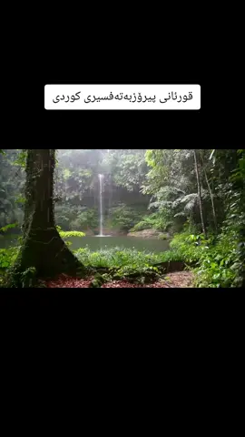 #foryoupage❤️❤️ 