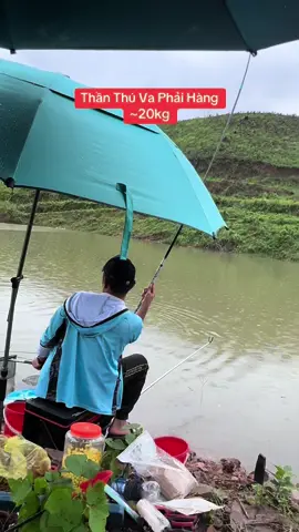 #cancaudai #xuhuongtiktok #sanhang #fishing #hugo 