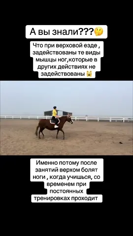 Болят ноги после верховой езды??? Это только в начале , пару недель и все пройдет, мышцы укрепятся#мышцы#верховаяезда #беларусь🇧🇾 #молодечно #фермер #конникипоймут 