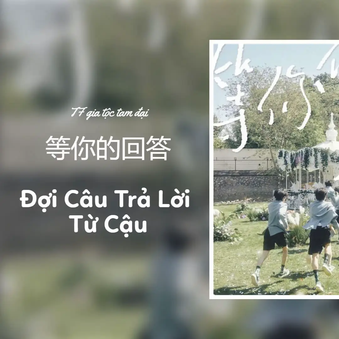 Đợi Câu Trả Lời Từ Cậu #nhactrungquoc  #lyrics  #thanhxuan  #fyp 