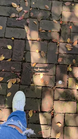 i love fall sm (i type this as im on the way to the beach) 