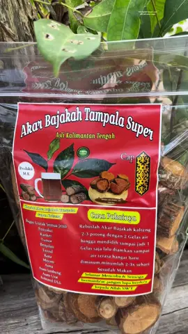 Akar Bajakah Tampala Super #bajakahasli #akarbajakah #herbalkalimantan 