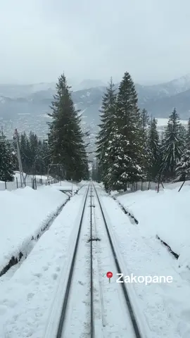 The most stunning cable car ride in Zakopane, Poland❄️ The funicular (cable car) takes you up and down the mountain! Remember to sit in the first/front carriage on the way down the mountain to get the best view - it’s worth waiting a few minutes until the next ride to get your spot! 📍Tatra Mountains in Zakopane, Poland  #Zakopane #TatraMountains  #PolandTikTok #KrakowCityGuide #PolandTravel #ZakopaneTravel 