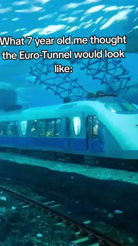 🌊🐠🚆 #Eurotunnel #Underwater #fyp #fy 