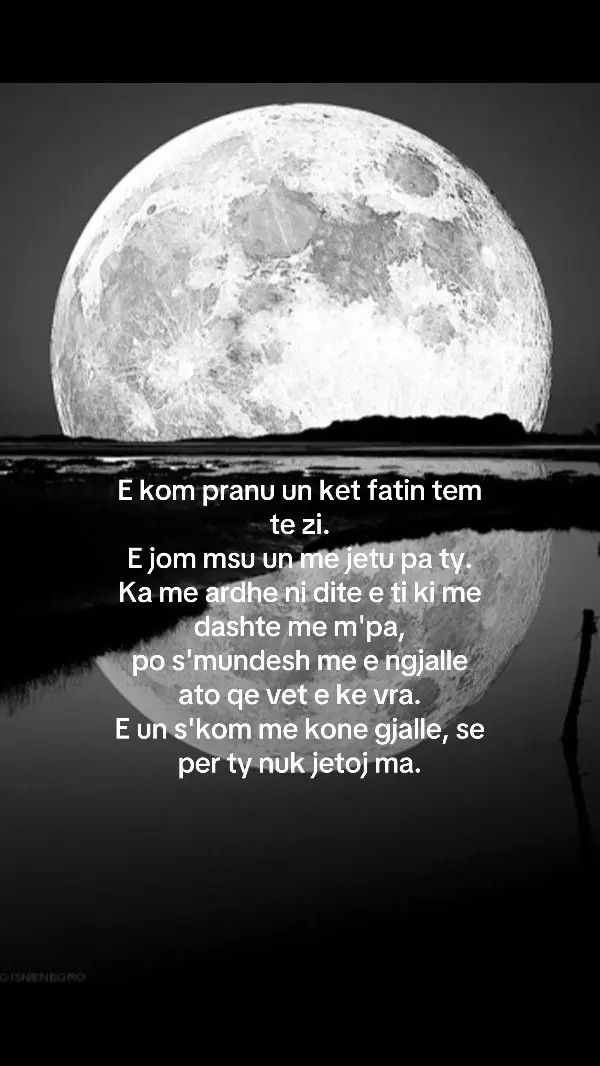 Ylli♥️#yll #musikshqip🇦🇱🥰🇽🇰 #poezi #musikshqip #Love 