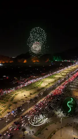#حائل #🇸🇦 #🇸🇦🇸🇦🇸🇦 #93saudinationalday #اليوم_الوطني_السعودي_٩٤ #المغواه 