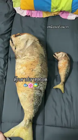 ตุ๊กตาปลาทูทอด 🐟🐠 #เหมือนจริงมาก #ตุ๊กตา #หมอนข้าง #ปลาทูทอด #ตุ๊กตาปลาทู #ของเล่นแมว 