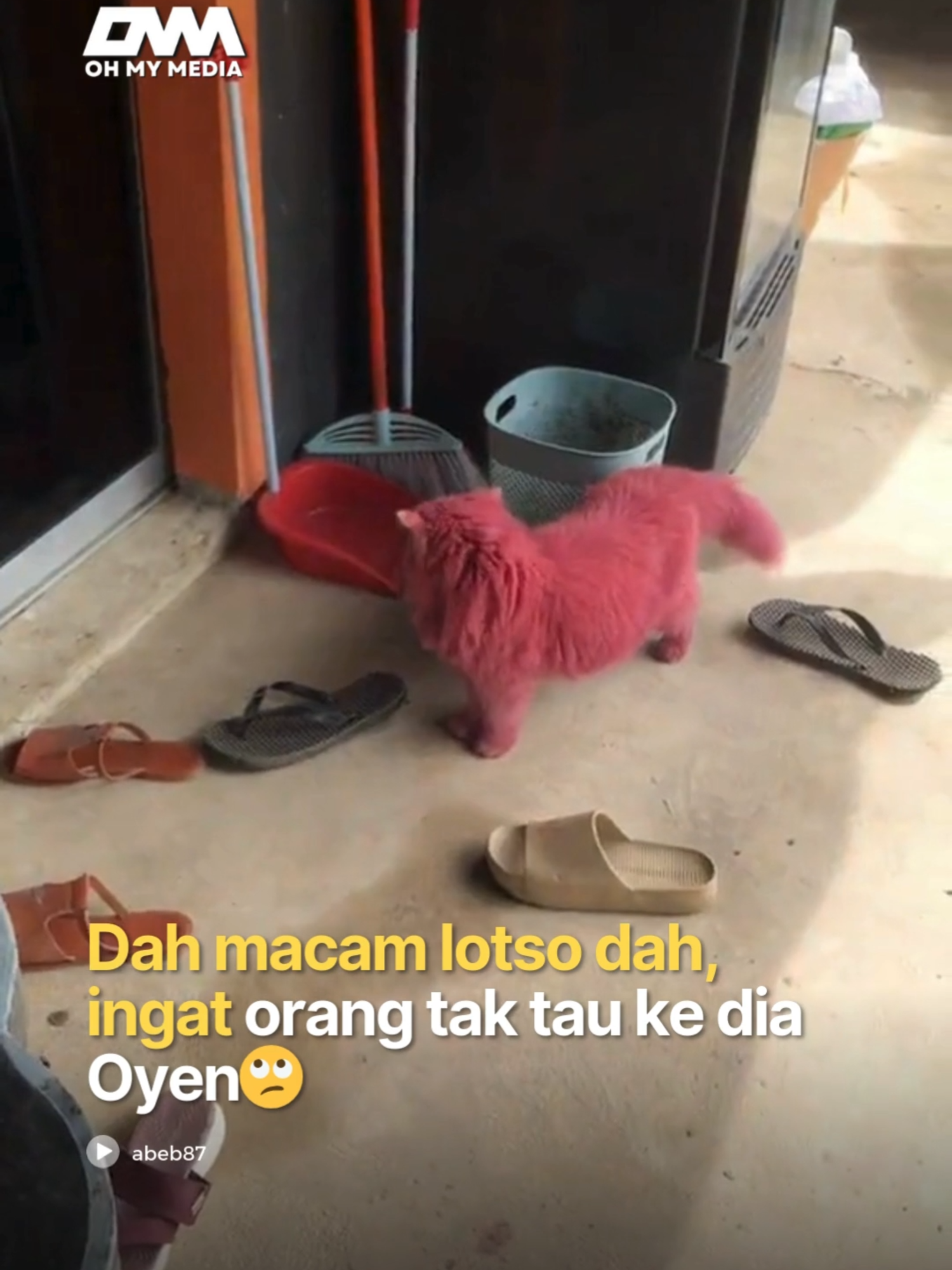 Oyen menyamar jadi lotso ke ni?😂 #ohmymedia #ommbest #ommmedia #viral #videoviral