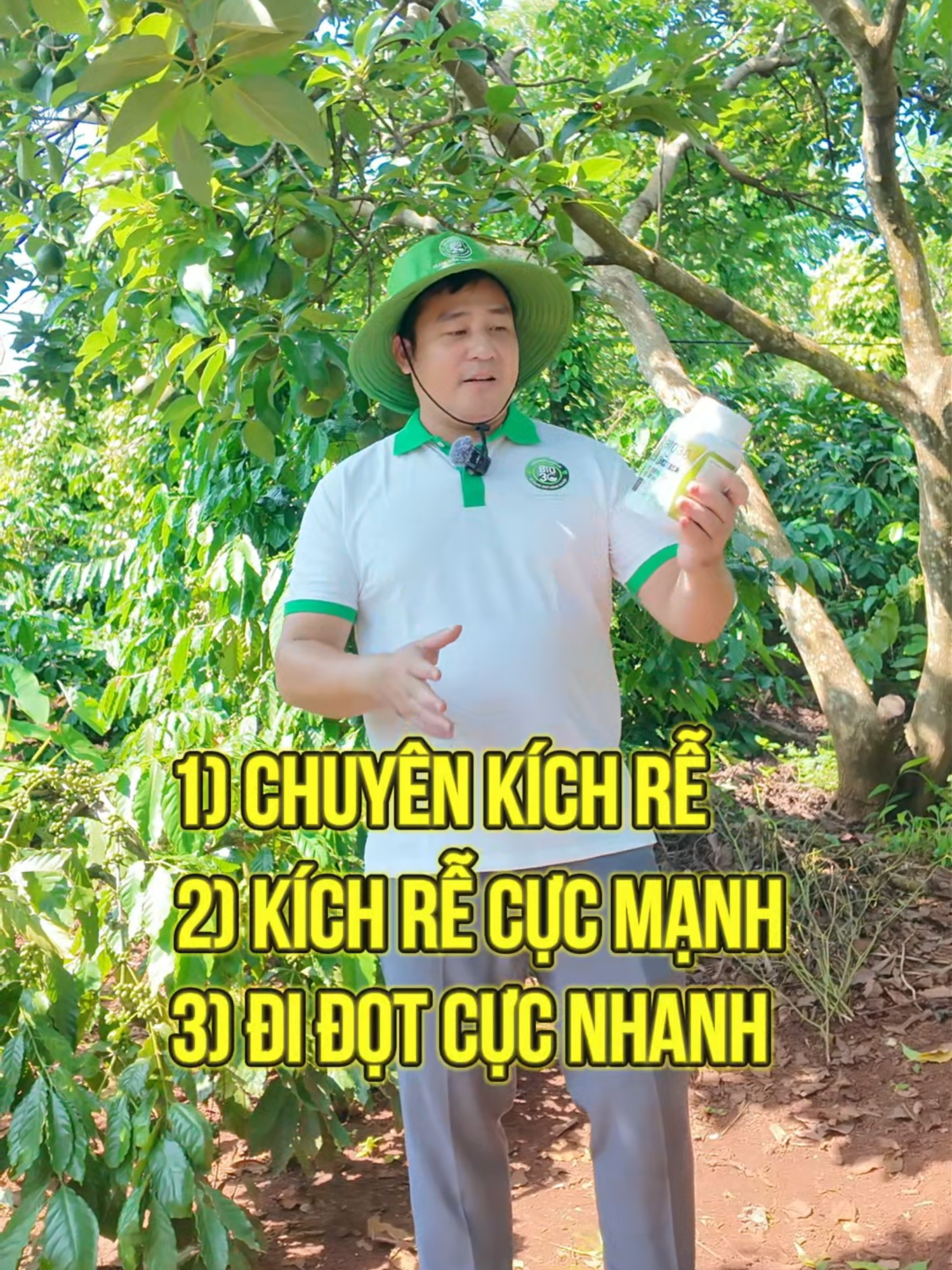 Cây khỏe, bung rễ, nảy đọt, phục hồi cây trồng.