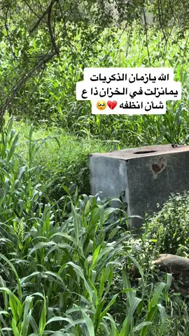 #💙🌷💚🍁💛🥀🤍🌿وادي الرهوه غامد الزناد 🌿🌺 ##اكسبلورexplore❥🕊 