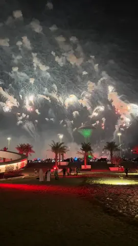 Saudi Arabia National Day, 2024 🇸🇦 #riyadh #اليوم_الوطني_السعودية🇵🇰💔🇸🇦  #Saudi Arabia Riyadh Watch 