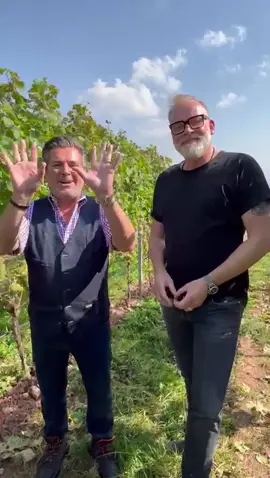 🍇🍷 Die Weinlese 2024 hat begonnen und wir alle hoffen auf einen tollen Jahrgang, den wir dann ab März 2025 mit meinem neuen Grauburgunder genießen können. St. Antony Weingut 🍇🍇🍇 www.anders-weine.com #thomasanders #dirkwürtz #weingutstantony #weinlese #grauburgunder #andersweine #neuerjahrgang #fyp #fy #newwine #winetime 