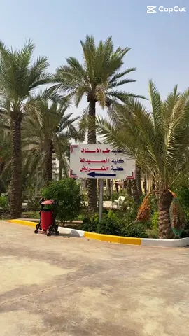 #كلية_بلاد_الرافدين_الجامعة #صيدلية #4 stage 