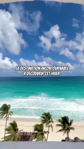La destination incontournable à découvrir cet hiver  📍 Cancùn, du 22 au 29 janvier  Vol A/R au départ de Paris, 536€ avec jetblue  J'ai trouvé un hôtel 4🌟 à 407€ pour 2, petit déjeuner inclus  ⚠️Les prix peuvent varier avec le temps  Pour tes bons plans voyage, 1️⃣Rends toi sur le lien dans ma bio  2️⃣Clique sur mon bon plan sur mesure  3️⃣Complète le formulaire  Mais surtout abonne-toi à @dealeuse_de_bons_plans 😁 #cancun #traveladdict #mexico #traveladvantage #voyageursdumonde #caraibes #petitbudget #pourtoi 