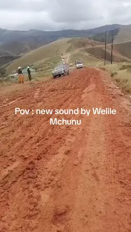 #newsound for car drivers #goviral #fypシ #pov #tiktok @ngizweonline 