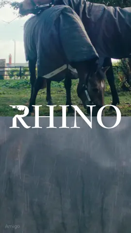 Have you ever wondered the difference between Amigo®, Rhino®, and Rambo®?🐴 We've created the ultimate comparison between our rug ranges to help you choose the best option for your horse 🏆✨ ⁠ ➡️ Amigo® – Trusted by riders for everyday protection.⁠ ➡️ Rhino® – Innovated for high levels of resilience and versatility.⁠ ➡️ Rambo® – Our most premium range, focusing on advanced safety and protection features.⁠ ⁠ What is your go-to range? 😍⁠ ⁠ #Amigo #Rhino #Rambo #RugsForLife #IWearHorseware #HorseRugs #HorseCare #HorseProtection #AW24 #Equestrian