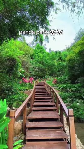 PANDA PARK🐼🐼 #pandaparkmacau #macautiktokers🇲🇴🇵🇭 #macaulife #macautiktok🇲🇴 #taipa #macau 