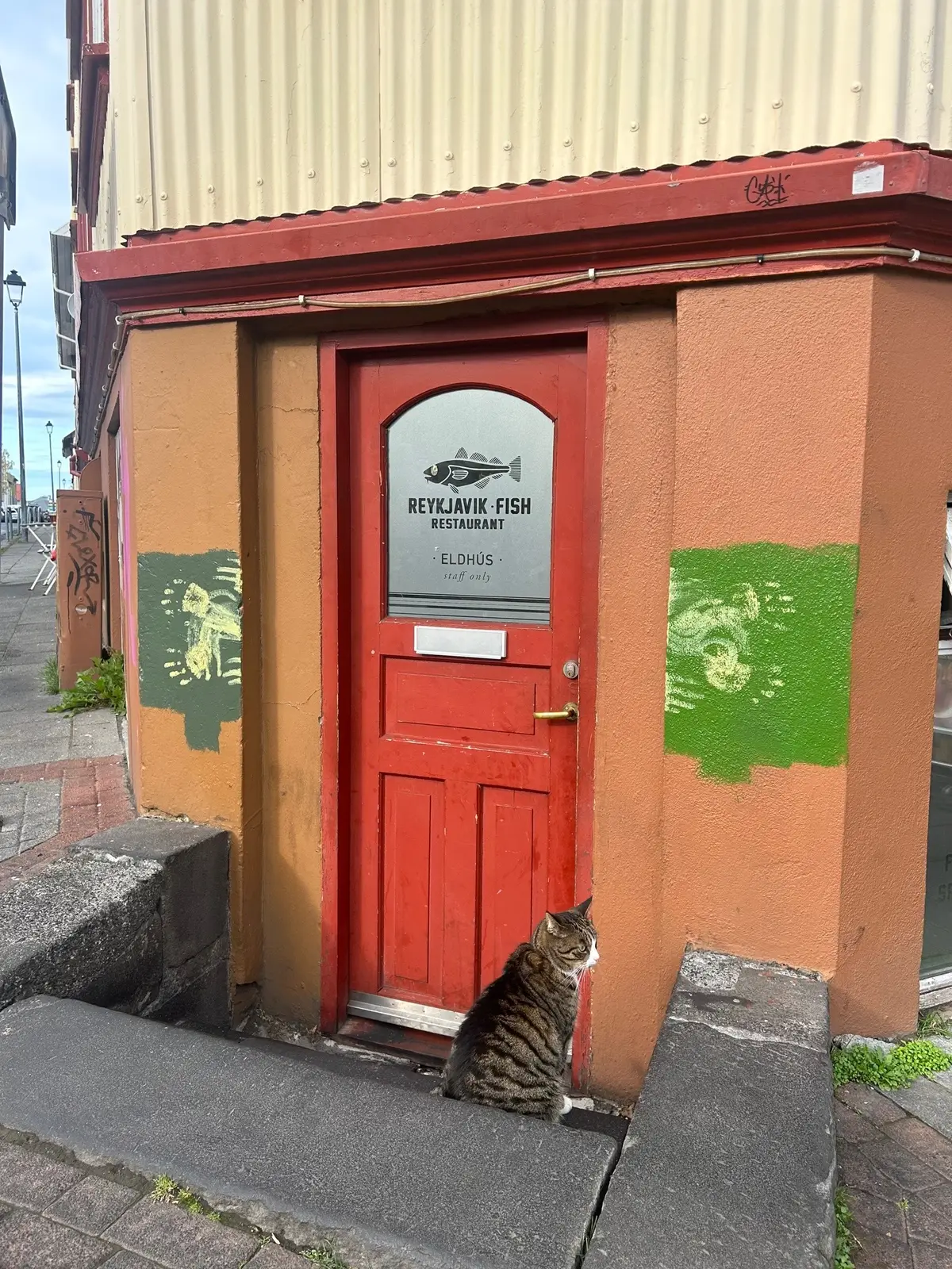 somebody please give bro a seat and some fish #catsoftiktok #cats #reykjavik #iceland #catsoficeland #catsofreykjavik #travel #europe #fish