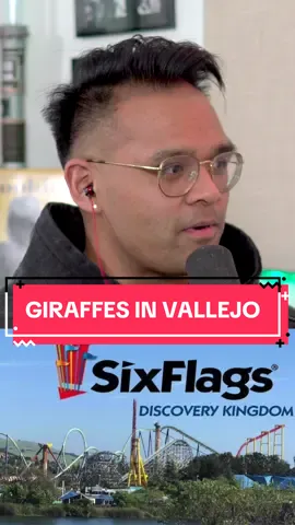Vallejo has it all folks #vallejo #comedy #sixflags #podcast #bayarea #funny #discoverykingdom