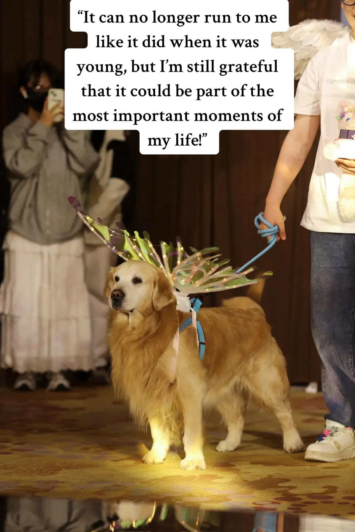 It can no longer run to me like it did when it was young, but I’m still grateful that it could be part of the most important moments of my life! #doglovers #dog #dogsoftiktok #petlovers #dogoftheday #dogwedding #rescueddogs #funnydog #dogs #wedding #weddingtiktok 