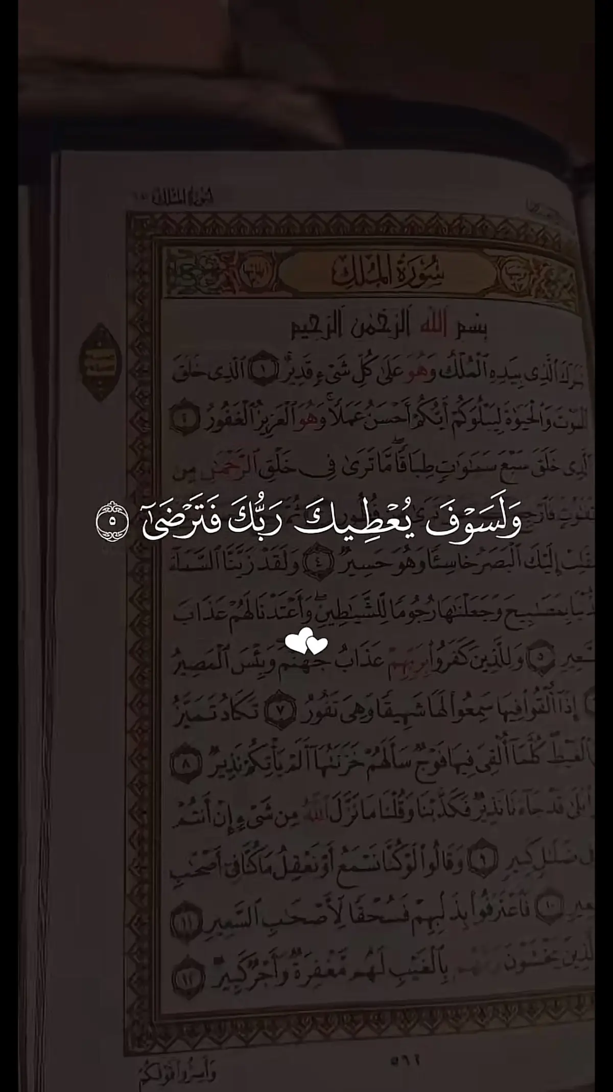 ولسوف يعطيك ربك فترضى 🤍#اكتب_شيء_تؤجر_عليه🌿🕊 #التقوي🤍 