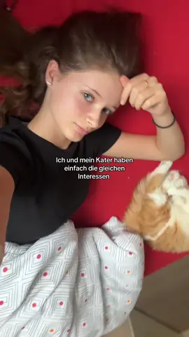 Bin da grad aus nem power nap aufgewacht 💀 #schlafen #powernap #katze 