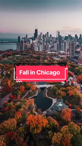 𝙉𝙤𝙬 𝙡𝙤𝙖𝙙𝙞𝙣𝙜 𝙛𝙖𝙡𝙡 𝙞𝙣 𝘾𝙝𝙞𝙘𝙖𝙜𝙤... 🍁🌇🍂 🎥: waywelling via IG