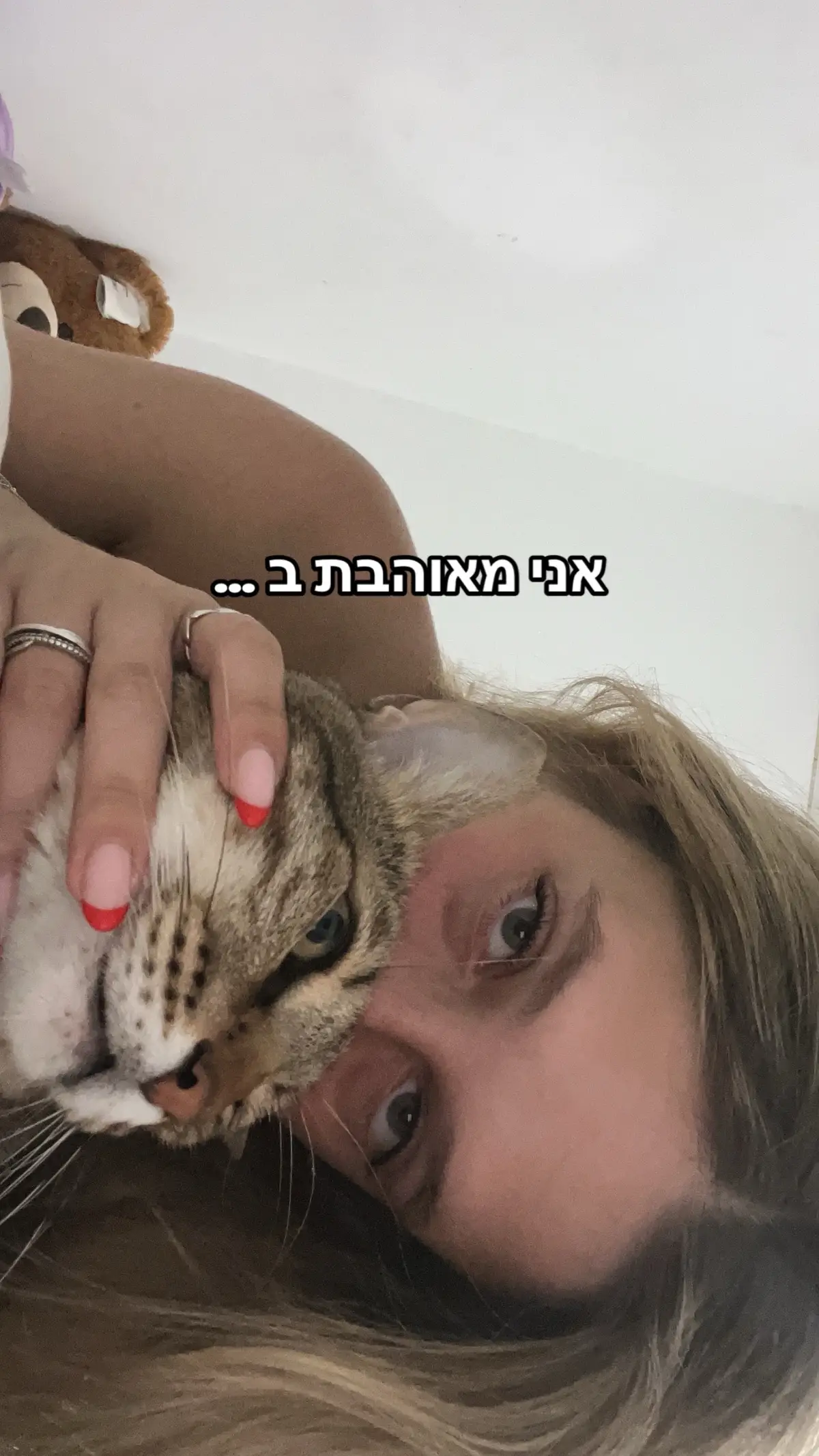 #פוריו 