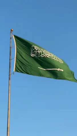 #93saudinationalday #اليوم_الوطني_السعودي_٩٤ #اكسبلور 