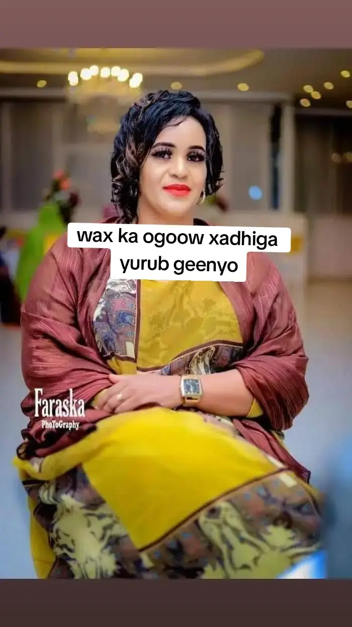 #DEGDEG: fanaanada caanka ah ee Yurub Geenyo ayaa la sheegay in lagu dabo joogo taasi oo loo haysto hees baraha bulshada qabsatay oo ay fananin Somaliland ah ay qadeen. Waxaa la sheegay in Ciidamadu ay ku raad joogaan Faanaanada Yurub Geenyo, waxaana la xidhay Gabadh yar oo Yurub dhashay inkasta oo ay markii dambe sii daayeen. Erayada heesta waxaa ku jiray "Seeskii Cigaal Taagay, Daahir Iyo Siilanyo Sare Bay U Qaadeen, Adiguna Sideed Yeeshay, Sool Bari Xagad Geysaay,"