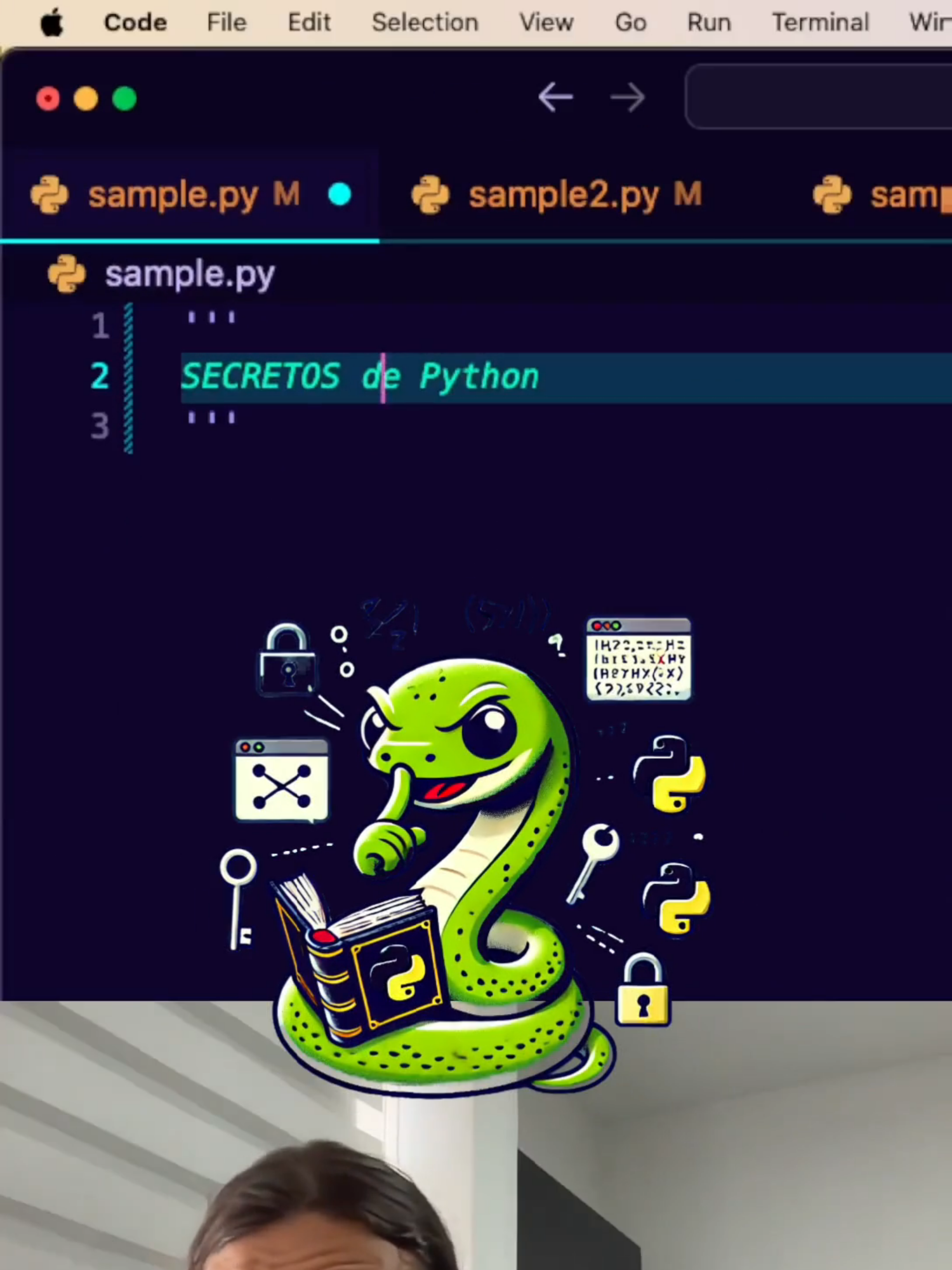 Crea tuplas dinámicas | Secretos de Python #python #programacion #javascript #tech #tecnologia #html #ingenieria #antiprofe #tips