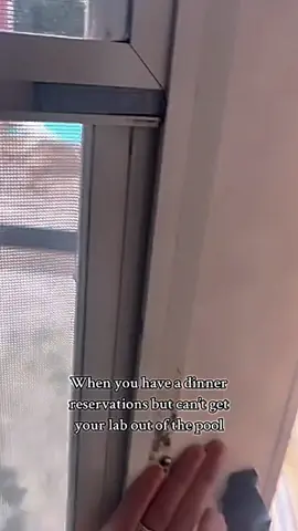 Our neighbors no its Spring time when they hear me yelling at Buster. #onthisday #vairalvideo #cutep 