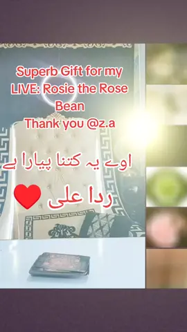 z.a, thank you for this wonderful Gift sent in my LIVE! I'll cherish this moment forever. @z.a #livegift #rosietherosebean @Rida Ali @яσѕє786💫 @R❣️Anjum 