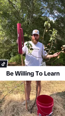 Homesteading is all about being willing to learn  #foilhatgang #homestead #homesteader #backyardchickens #goatsoftiktok #selfsufficient #orchard #gardening 