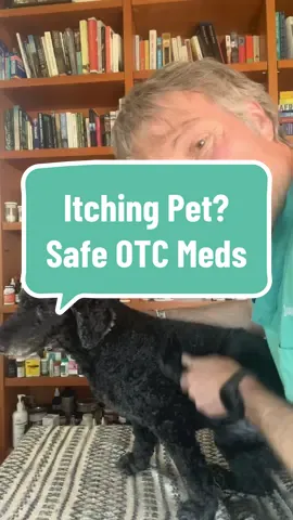 Best OTC antihistamine for Allergic Pets! #allergy #dogallergies #otc #sickdog #sickcat #homeremedies #veterinary 