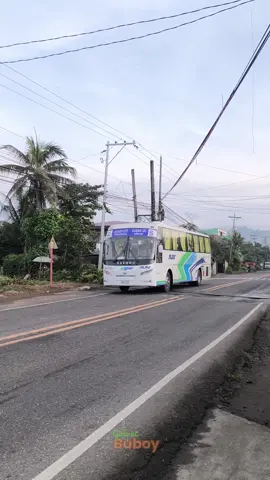 Entering Baao proper.  #fyp #foryou #foryoupage #bus #buses #busesinthephilippines #busenthusiast #busspotting #busride #busvlog #ride #Vlog #alpsthebusinc #alps #daewoo #albay #camarinessur #bicol #galanibuboy #sendreybusspotting 