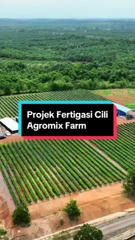Projek Fertigasi Cili Agromix Farm, Segamat Johor. program IPR-INTAN yang akan dijalankan di Wilayah ECER dengan sasaran membasmi kemiskinan tegar, mengukuhkan sekuriti makanan negara serta meningkatkan pengadaptasian teknologi pertanian pintar ke dalam program. #MalaysiaMADANI #ecerdc #IPRINTAN