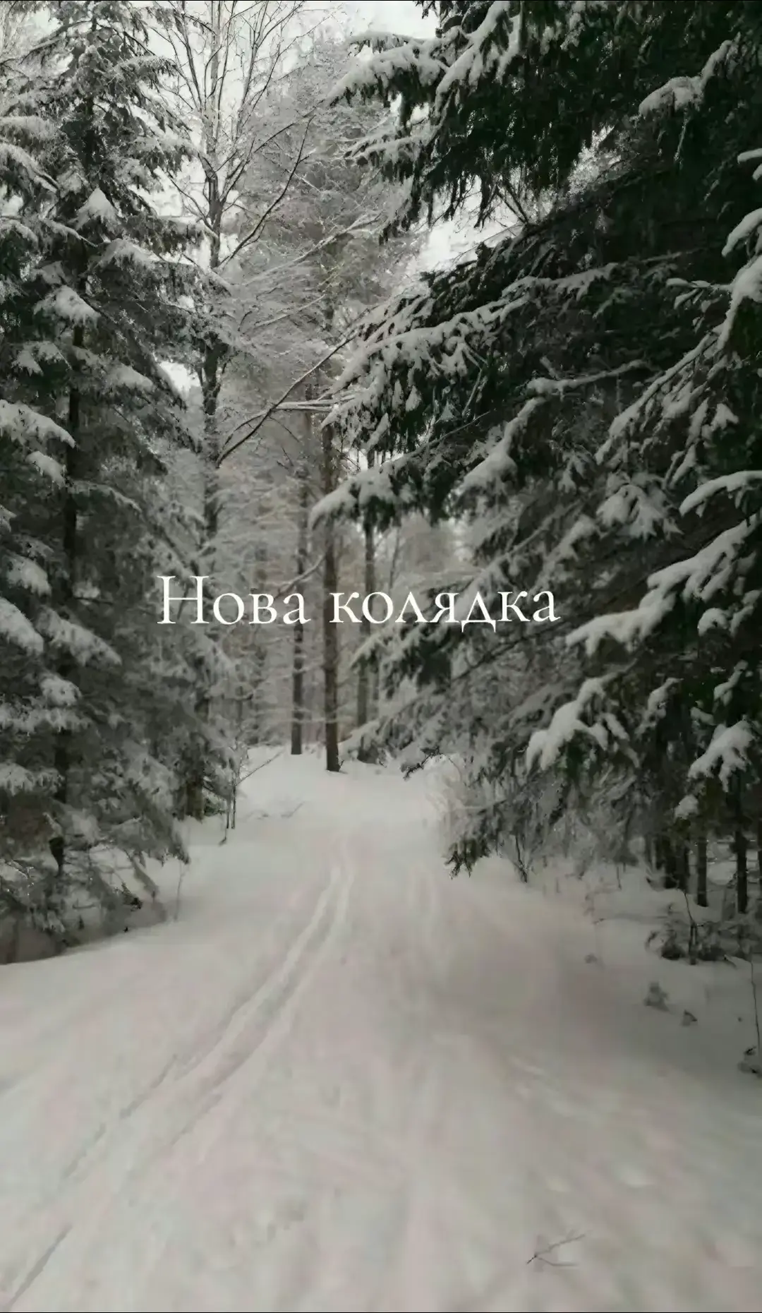 #р❤️е❤️к❤️м❤️е❤️н❤️д❤️а❤️ц❤️и❤️и❤️ #українапонадусе🇺🇦💪 