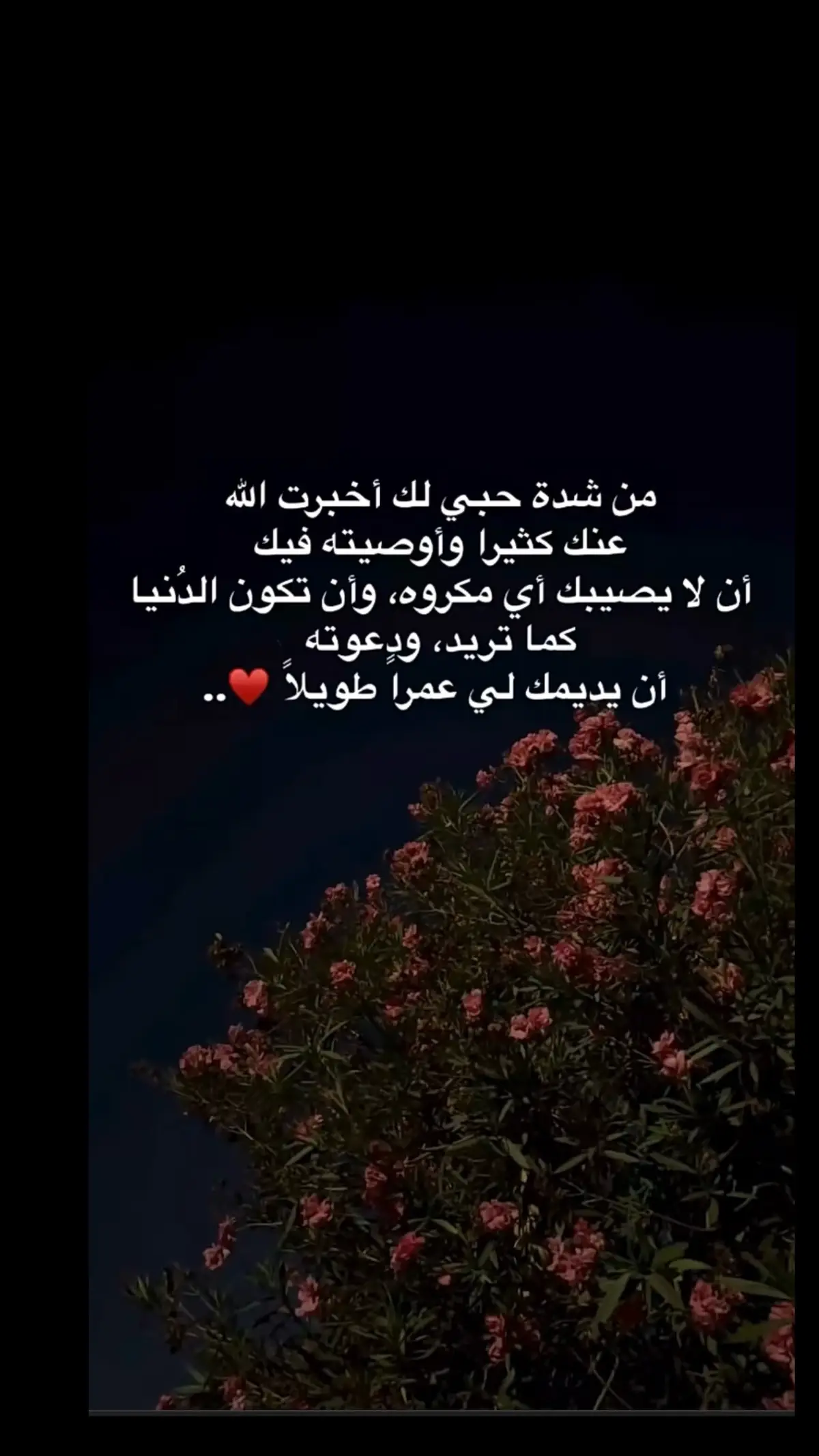 #♥️ #fypageシ #بحبك #SK #👑 